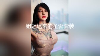 姐姐迟来的圣诞套装