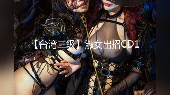 【台湾三级】淑女出招CD1