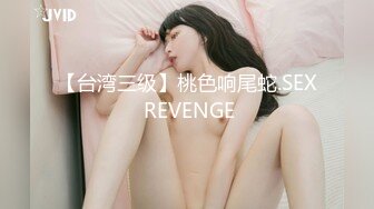 【台湾三级】桃色响尾蛇.SEX REVENGE