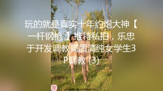 玩的就是真实十年约炮大神【一杆钢枪 】推特私拍，乐忠于开发调教高质清纯女学生3P调教 (3)