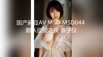 国产麻豆AV MSD MSD044 顺从欲望之夜 袁子仪