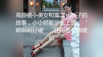 高颜值小美女和富二代胖子的故事，小小娇躯坐在上面，‘啊啊啊好硬’，还不是你舔硬的