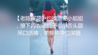 【老陈探花】约操漂亮小姐姐，撩下内衣吸奶子，小舌头舔吊口活棒，美臀骑乘位深插