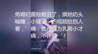 弟媳妇露脸献丑了，摸她奶头喊痛，小骚逼，拍视频给别人看，’痛，就是因为乳房小才痛，不许给‘！