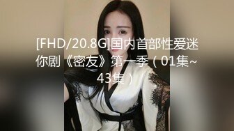 [FHD/20.8G]国内首部性爱迷你剧《密友》第一季（01集~43集）