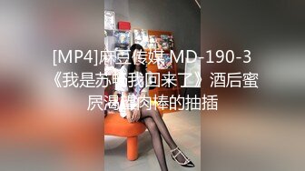 [MP4]麻豆传媒 MD-190-3《我是苏畅我回来了》酒后蜜屄渴望肉棒的抽插