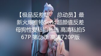 【极品反差婊❤️总动员】最新火爆推特Send超颜值反差母狗性爱私拍甄选 高清私拍567P 第②季 高清720P版