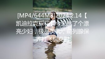 [MP4/644MB]2024.2.14【凯迪拉克探花】今天挑了个漂亮少妇，极品美乳，前列腺保养打飞机爽射