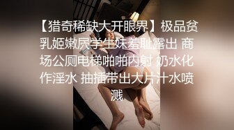 【猎奇稀缺大开眼界】极品贫乳姬嫩屄学生妹羞耻露出 商场公厕电梯啪啪内射 奶水化作淫水 抽插带出大片汁水喷溅