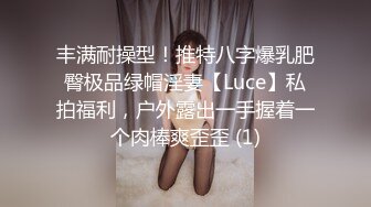 丰满耐操型！推特八字爆乳肥臀极品绿帽淫妻【Luce】私拍福利，户外露出一手握着一个肉棒爽歪歪 (1)