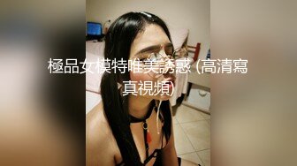 極品女模特唯美誘惑 (高清寫真視頻)