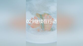 029继续在行动